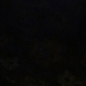 Meet your Posher, Jeffrey